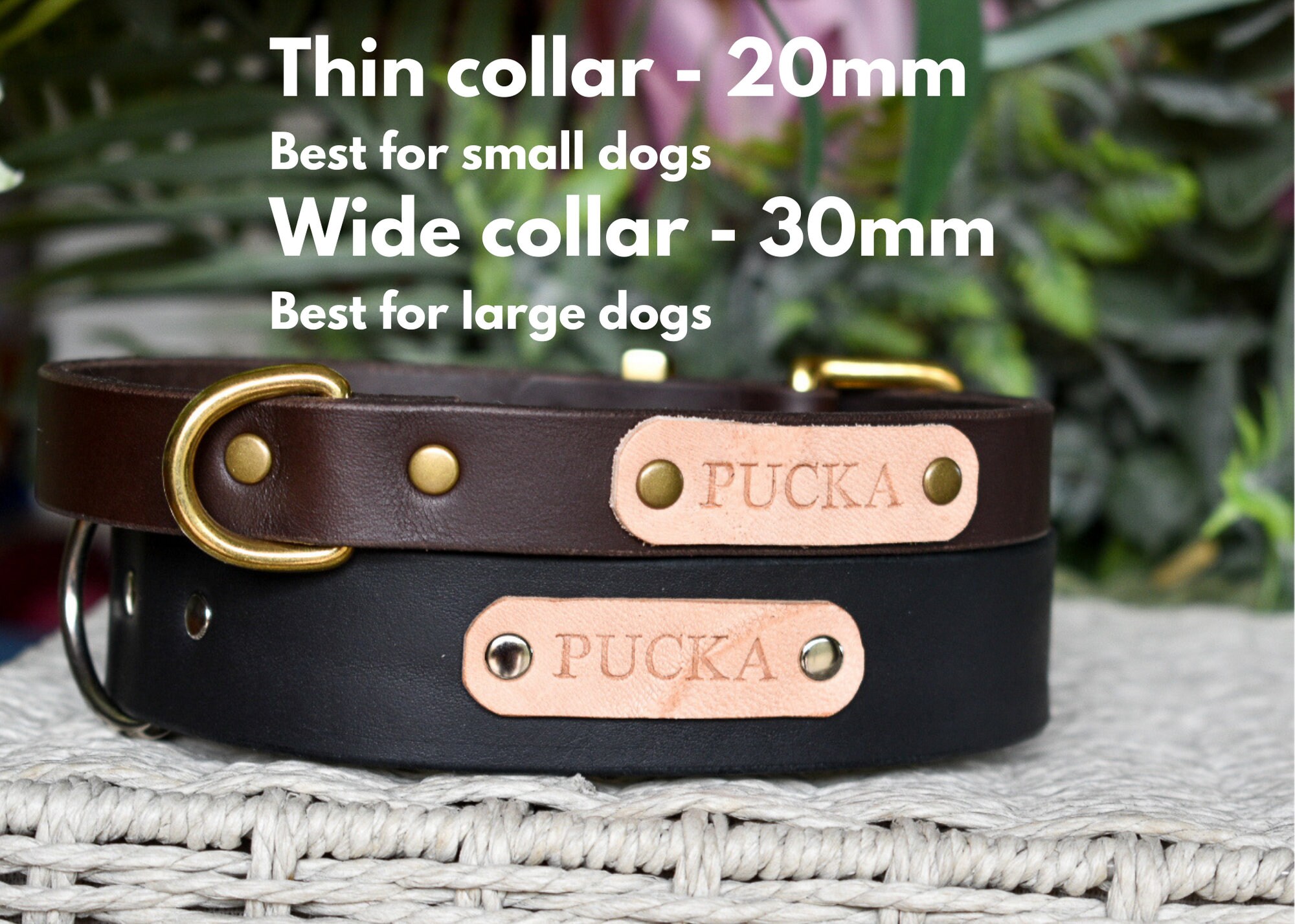 Personalised Leather Dog Collar Name Plate Full Grain Etsy Australia