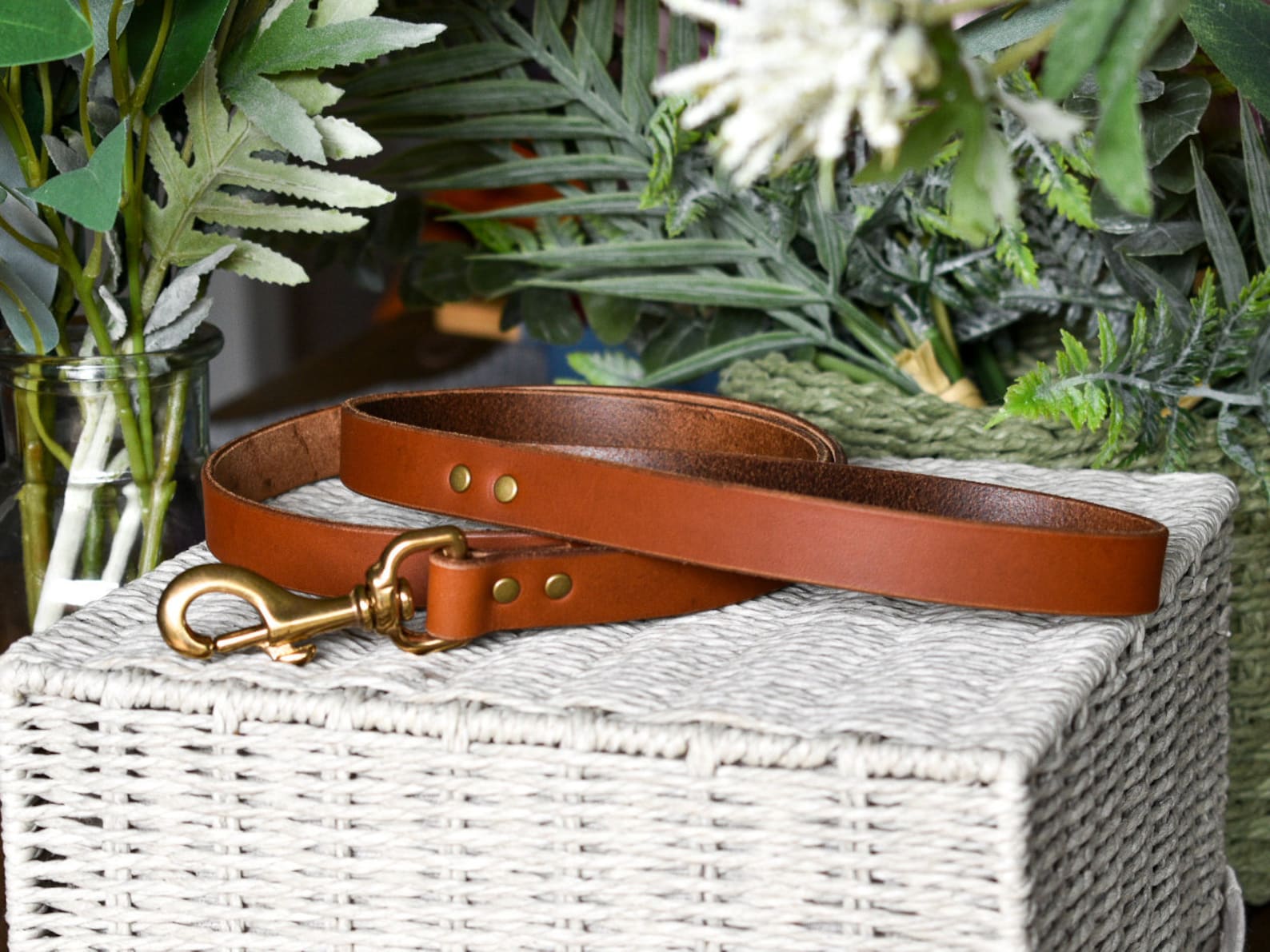 27+ Unique Dog Leashes For All Occasions