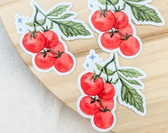 Tomato Vine Cute Veggie Fruit Watercolor Matte Sticker