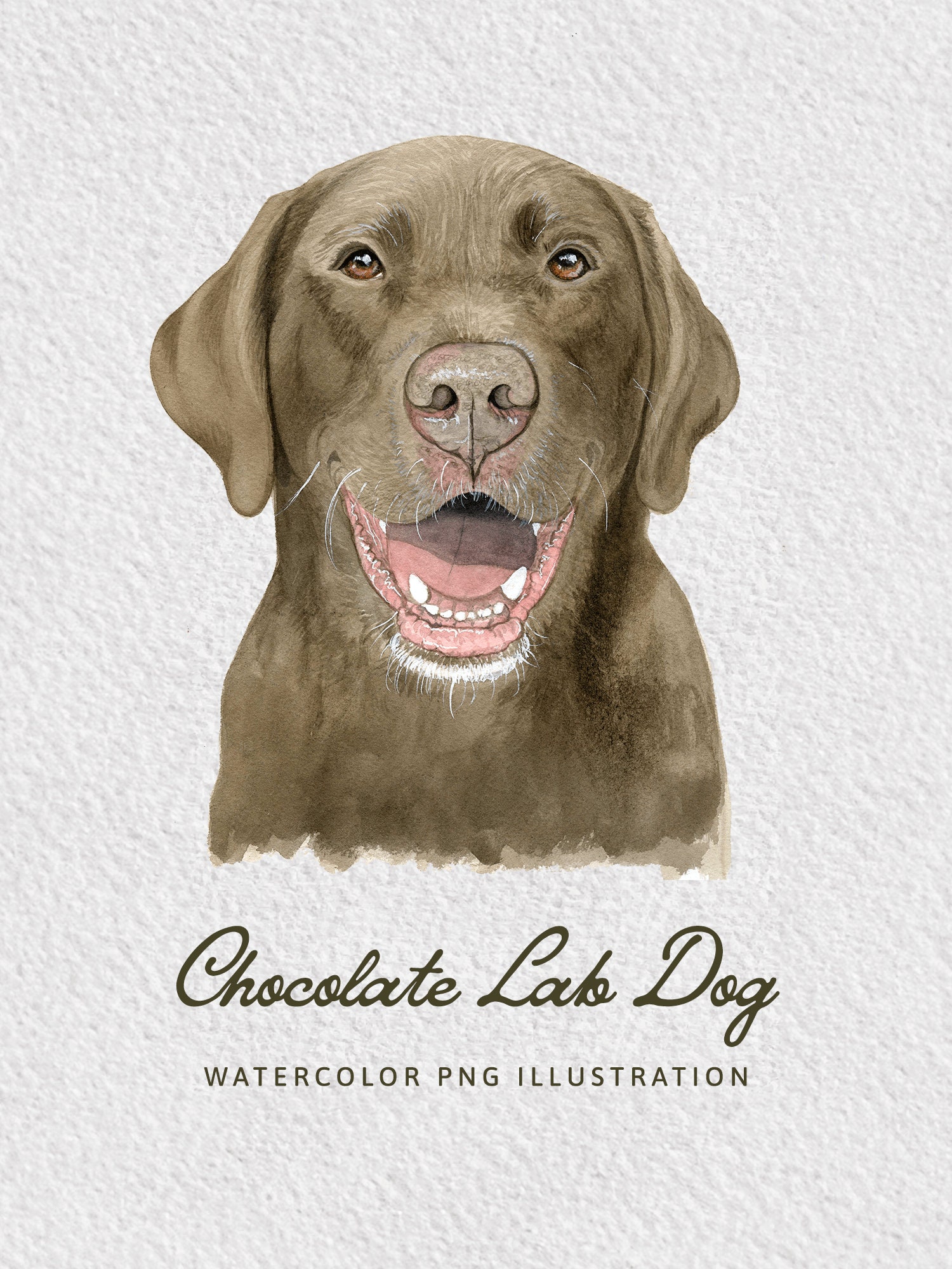 Chocolate Lab Watercolor Dog Clipart: DIY Printable PNG (digital File ...