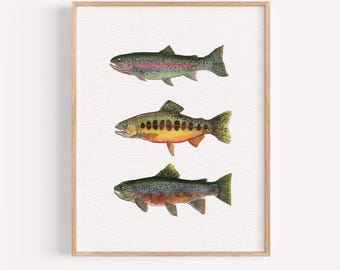 Rainbow Trout Fish Watercolor Art Print