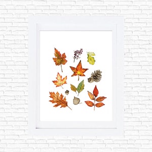 Fall Leaves All things fall autumn pine cone acorn fall home decor watercolor art print