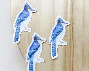 Bluejay Bird Watercolor Sticker – Matte Vinyl Decal for Laptops, Planners