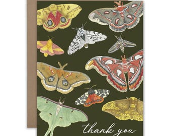Moths Thank You Watercolor Greeting Card