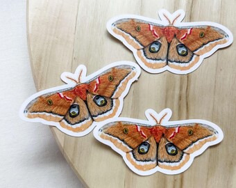 Polyphemus Moth Sticker - Matte Vinyl Decal for Laptops, Planners