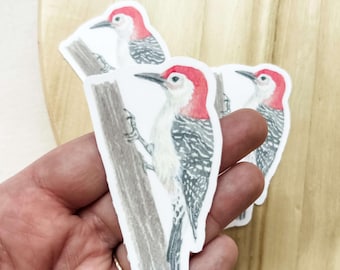 Red Bellied Woodpecker Bird  Sticker - Matte Vinyl Decal for Laptops, Planners