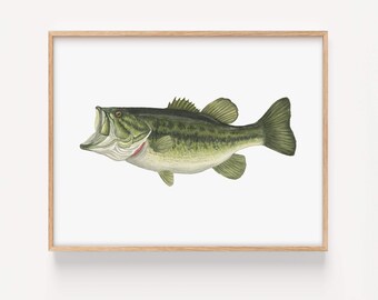 Large Mouth Bass Fish Watercolor Art Print