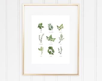 Kitchen Herbs Watercolor Art Print Basil Sage Cilantro Thyme Rosemary Basil Bay Leaves