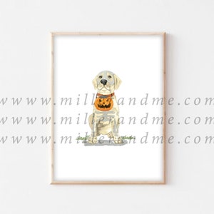 May include: A watercolor illustration of a white dog wearing a pumpkin-shaped Halloween costume. The dog is sitting on a patch of green grass.