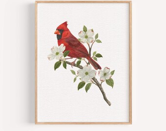 Northern Cardinal Bird Dogwood Floral Watercolor Art Print