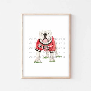 May include: Watercolour painting of a white bulldog wearing a red and black University of Georgia jersey with the team's logo and the SEC logo. The bulldog is standing on a green patch of grass.
