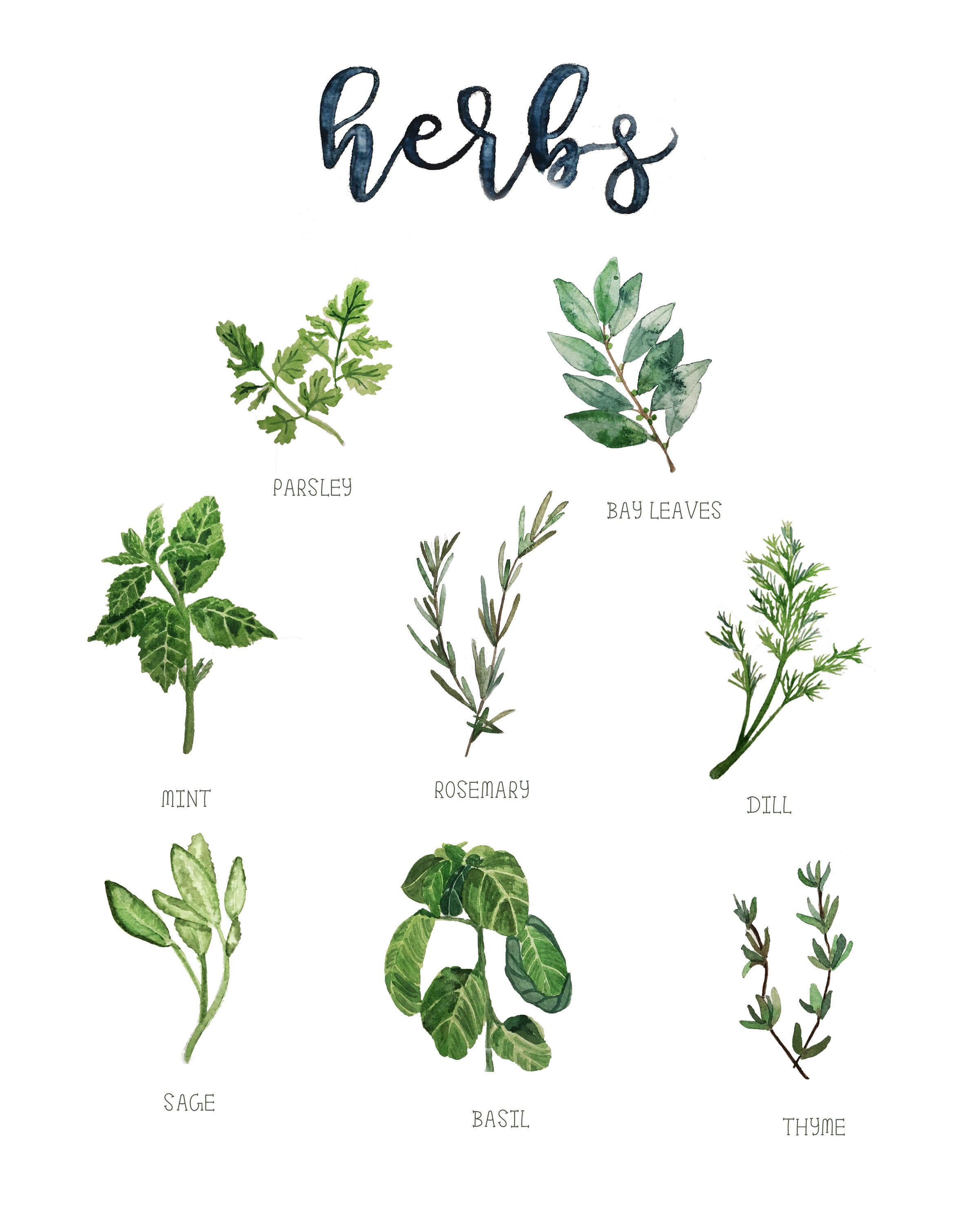 Herb Watercolor Art Prints Kitchen Decor Plants Etsy Hong Kong
