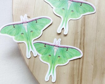 Luna Moth Sticker - Matte Vinyl Decal for Laptops, Planners