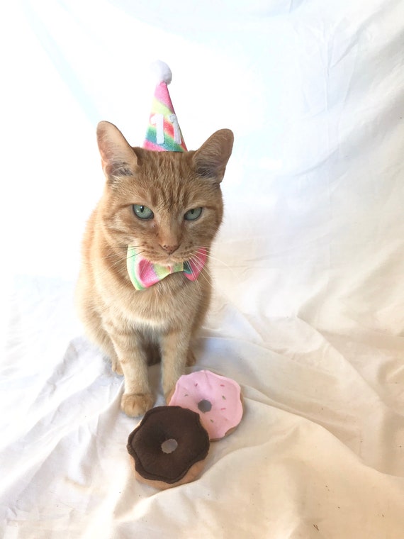 pets at home hills puppy food