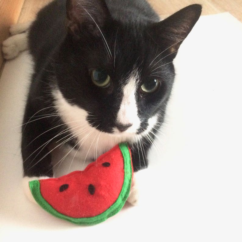 cat toys etsy