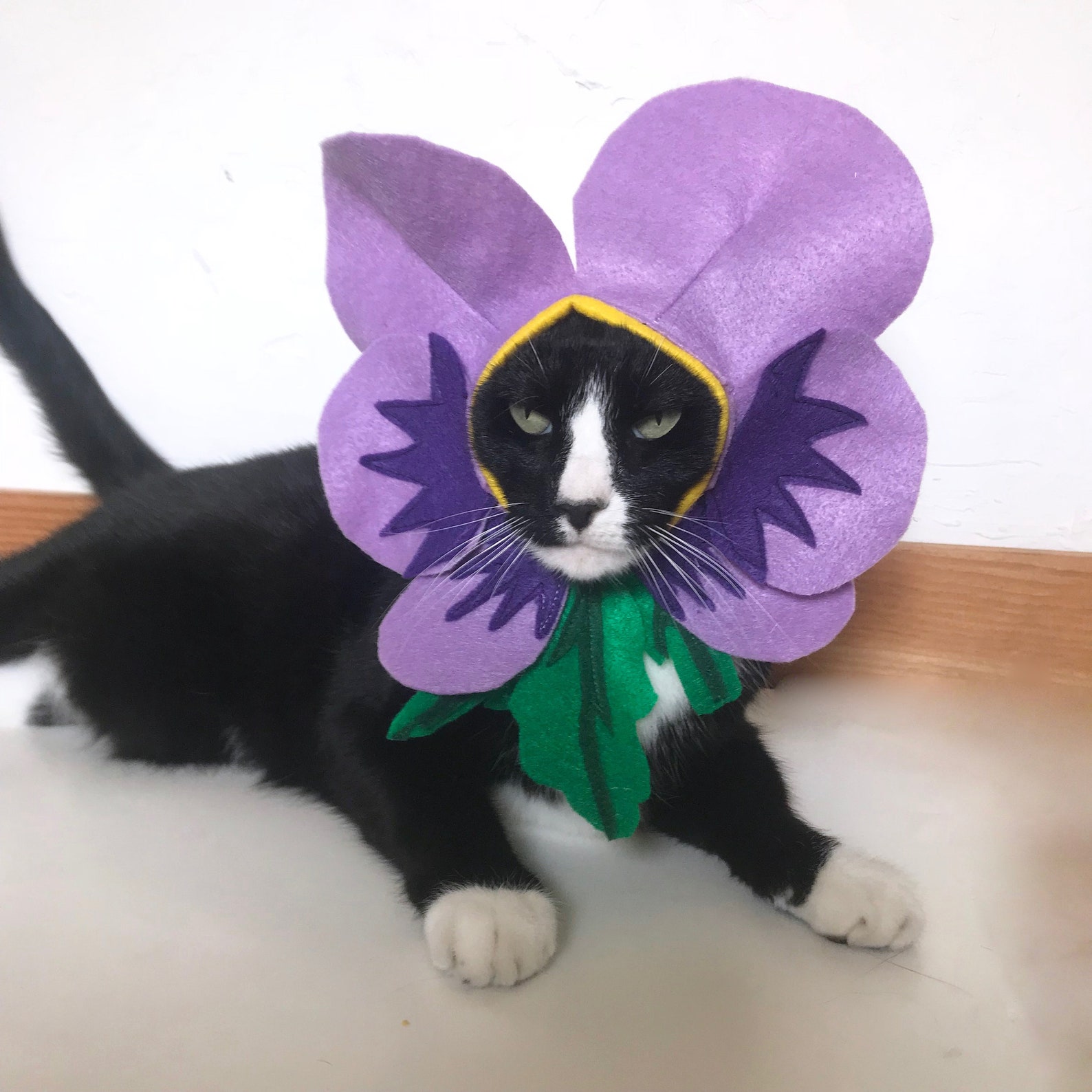 Cat Costume Violet Flower Costume for Cat Halloween Pet Etsy