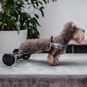 Example. Wirehaired Dachshund on the Trolley Needle Felted Figurine Pet Sculpture Made to order