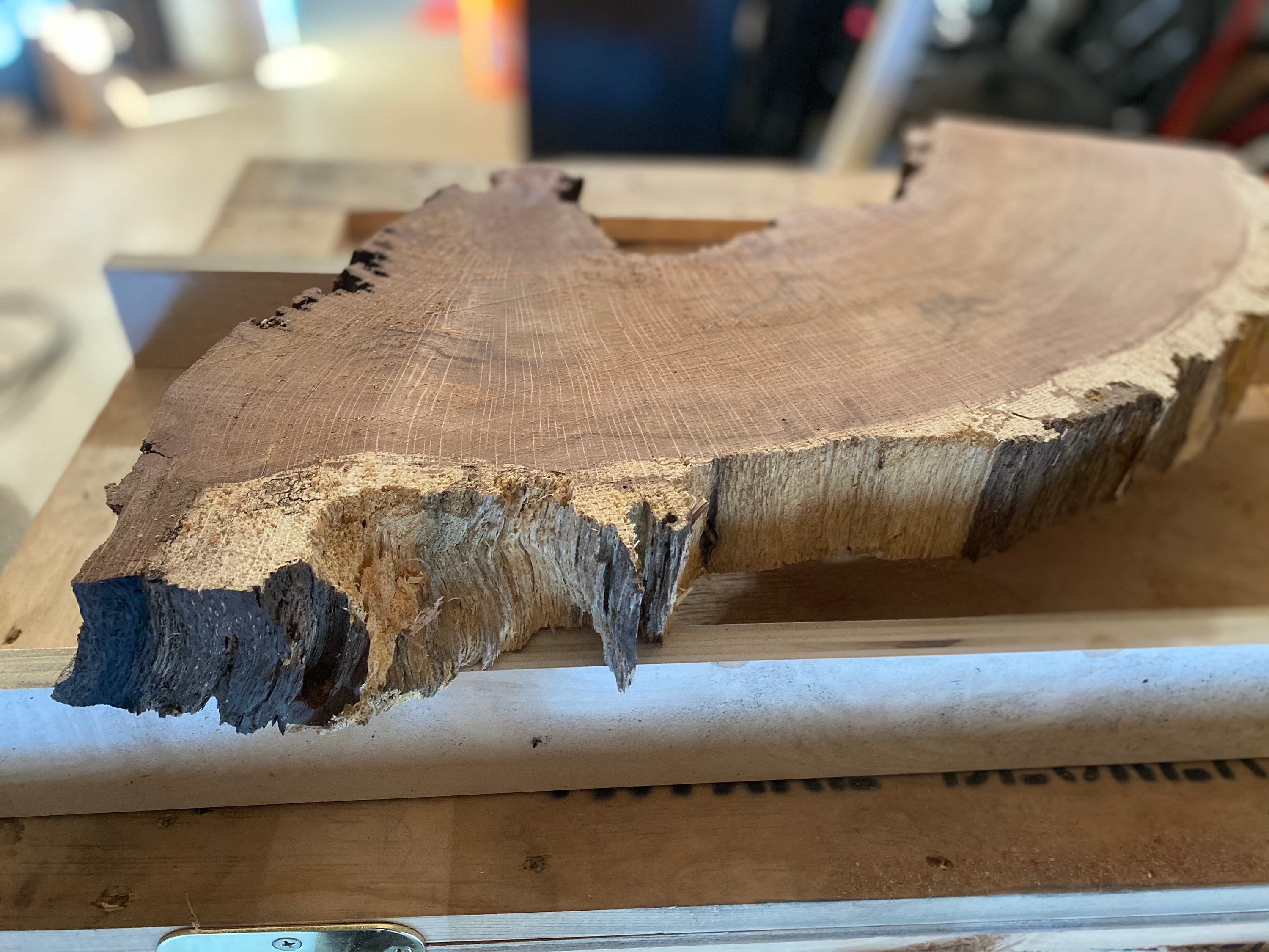 small live edge oak slab, reclaimed oak slab, salvaged oak slab, oak wood, slabs