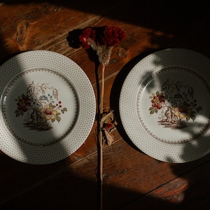 Assiettes à dîner Chippendale Royal China (lot de 2) : veuillez lire la description de l'article avant d'acheter pour plus de détails, les mesures et la politique de retour