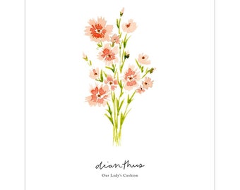 Dianthus Art Print, Mary Garden, Marian Florals, Catholic Home Decor, Watercolor, Christmas Gift for Mom, Church Office