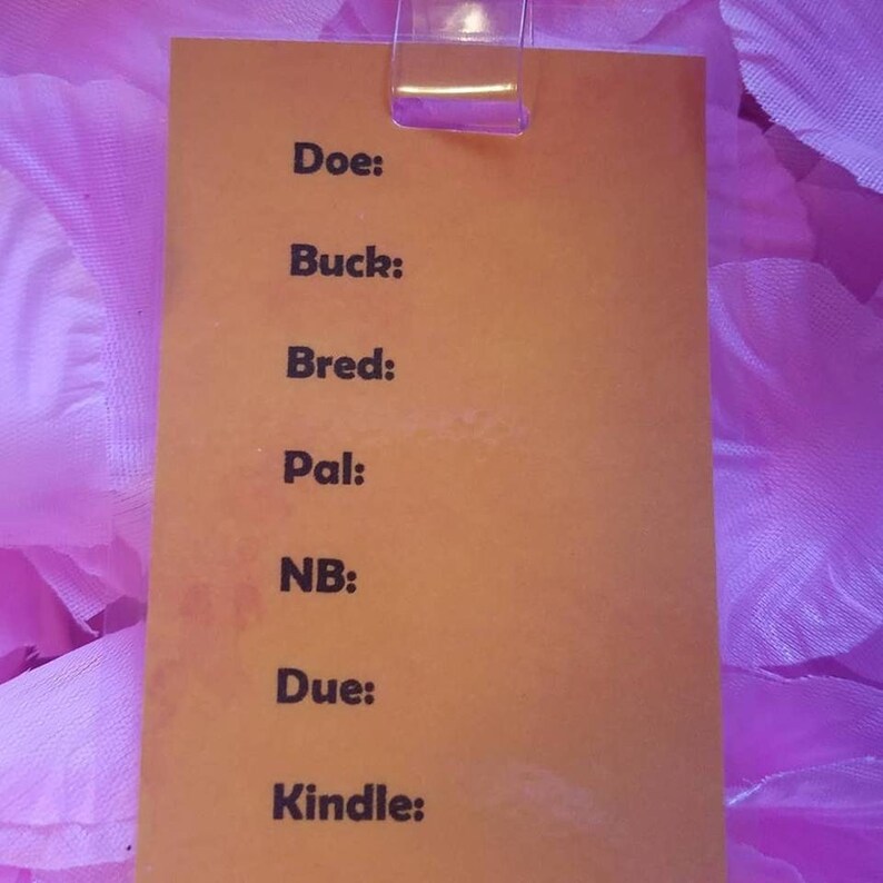 Custom Rabbit cage carrier tags Etsy