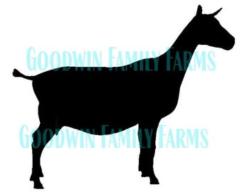 Oberhasli ober swiss breed Dairy milk goat svg