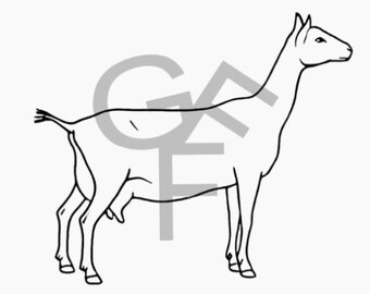 Oberhasli ober Dairy milk goat svg