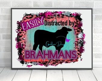 Brahman Cattle Printed pictures or PNG with a free flower brahman