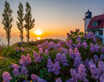 Lilacs At The Lighthouse / Spring / Point Betsie / Lighthouse / M22 / Frankfort / Michigan Photography / Canvas / Metal Print