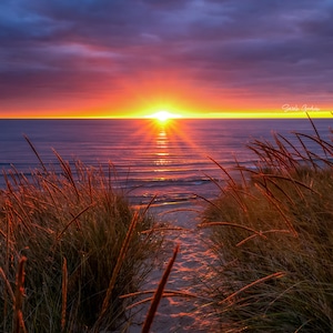 May include: A path through tall grass leads to a beach with a vibrant sunset over the water. The sky is a mix of pink, orange, and purple, with the sun shining brightly in the distance.