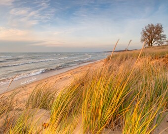 The Beach / Saugatuck / Canvas / Metal Print / Michigan Photography