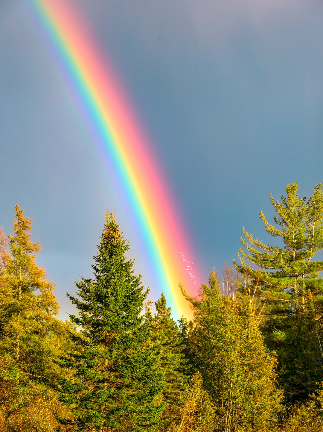 Rainbow Paints the Upper Peninsula Sky / Rainbow / Fall Wall Print ...