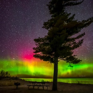 May include: A silhouette of a pine tree stands in front of a vibrant green and pink aurora borealis display. The aurora is reflected in the water below, and a picnic table sits in the foreground.