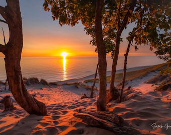 May include: A scenic sunset over a body of water, viewed from a sandy dune. The sun is setting behind the horizon, casting a warm orange glow over the water and sand.  Trees frame the view, their branches reaching towards the sky.  The sand is textured and appears soft.