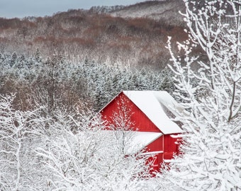 Puede incluir: Un granero rojo con techo blanco se encuentra en un bosque nevado. Los árboles están cubiertos de nieve y el cielo es gris.