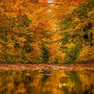 Autumn Reflections / Fall Wall Print / Michigan Photography / Pictured Rocks / Autumn / Canvas / Metal Print