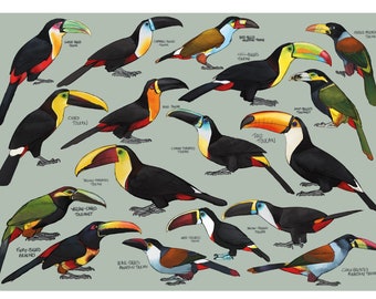 Shuya Chiba (千葉修也)  蝶画Toucan Bird (オオハシ) Shuya Chiba (千葉修也) 蝶画Toucan Bird (オオハシ)