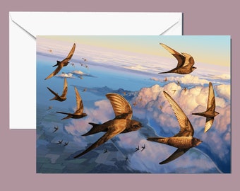 Swifts birds flying over clouds in a sunset A5 Large greeting card