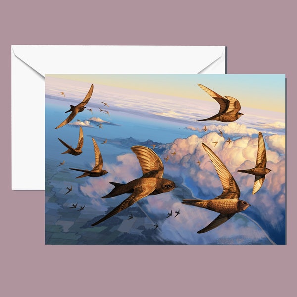 Swifts birds flying over clouds in a sunset A5 Large greeting card
