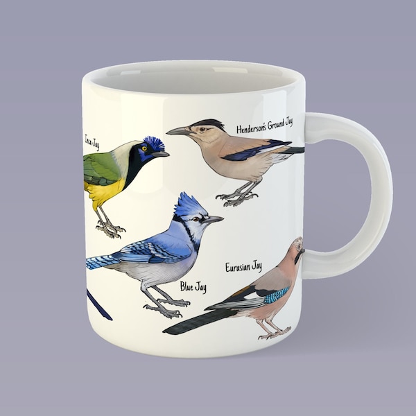 Jay species mug from all over the world | Blue Jay | Steller's Jay | Scrub Jay | Eurasian Jay | Blue birds