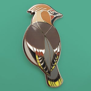 Collective nouns – A Museum of Waxwings 2019