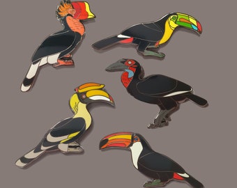 Toucan and Hornbill Pin Collection 5 pieces | Toco Toucan | Helmeted Hornbill | Great Hornbill | Keel-Billed Hornbill | Southern Ground Horn