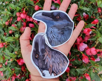 Set di adesivi Raven and Crow: adesivi in vinile lucido impermeabile
