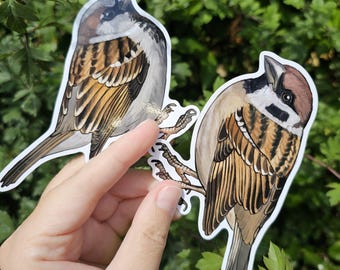 Tree and House sparrow vinyl stickers
