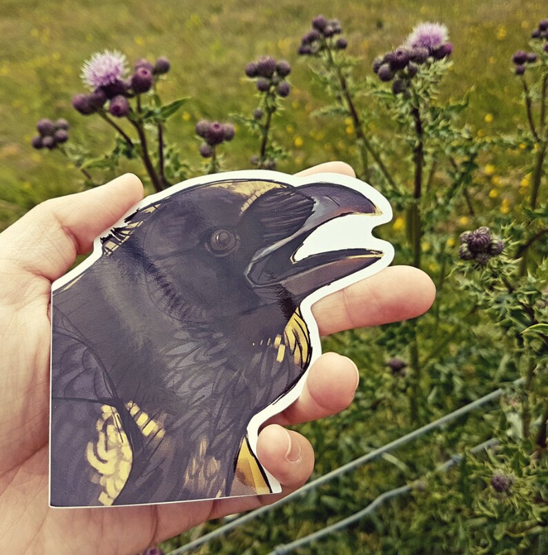 May include: A raven head sticker with an open beak, predominantly black with gold detailing. The sticker is held against a backdrop of green grass and purple thistle flowers, creating a natural, outdoor setting.