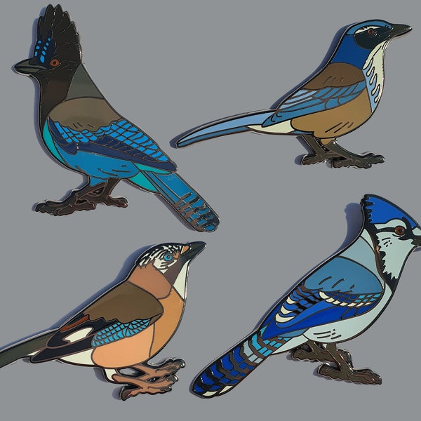 Jay Corvids Pin Collection 4 pieces | Blue Jay | Steller's Jay | Scrub Jay | Eurasian Jay | Blue birds