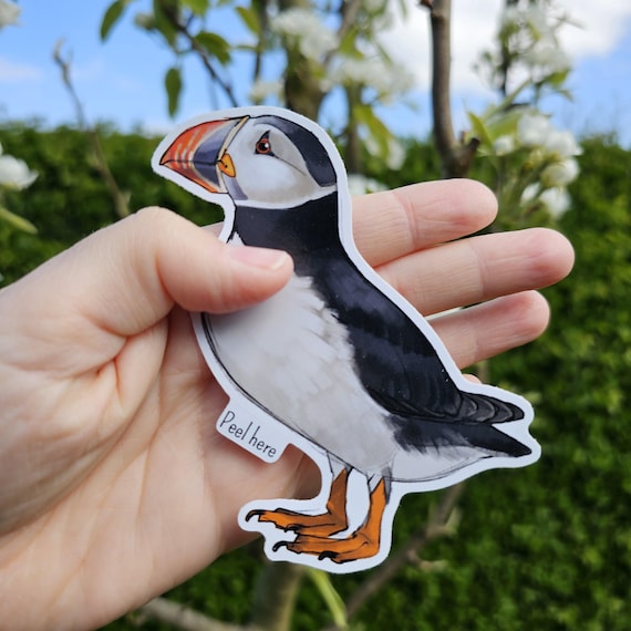 Atlantic puffin large vinyl waterproof sticker