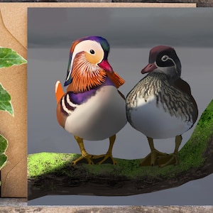 Mandarin Ducks Brooch  Love Talismans Collection.