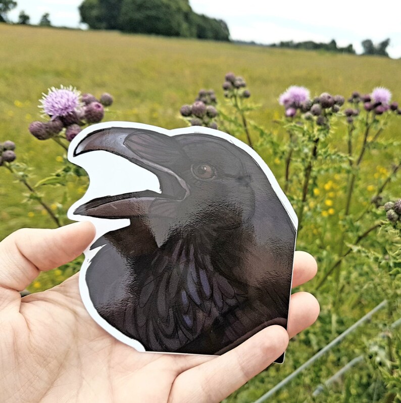 May include: A glossy sticker showing a detailed illustration of a raven's head with its beak open. The raven is depicted in shades of black and dark purple, with a white outline. The sticker is held in front of a blurred background of green grass and purple wildflowers.