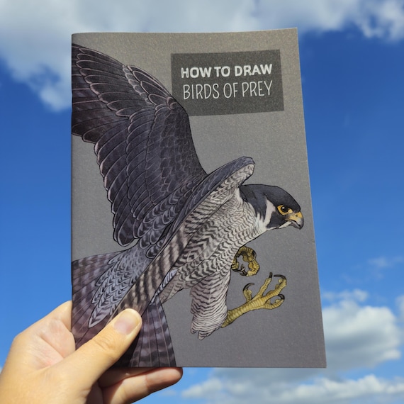 How to draw: birds of prey anatomy art book - Etsy 日本